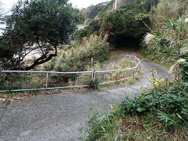 漁港への坂道